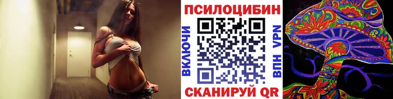 Галлюциногенные грибы Psilocybine cubensis Буй